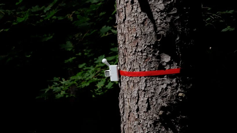 Knock On Wood is part of the ongoing series Machines Responding to Superstitions