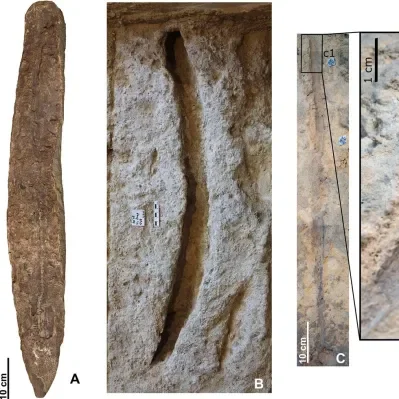 Abric Romaní 遗址出土的木制托盘