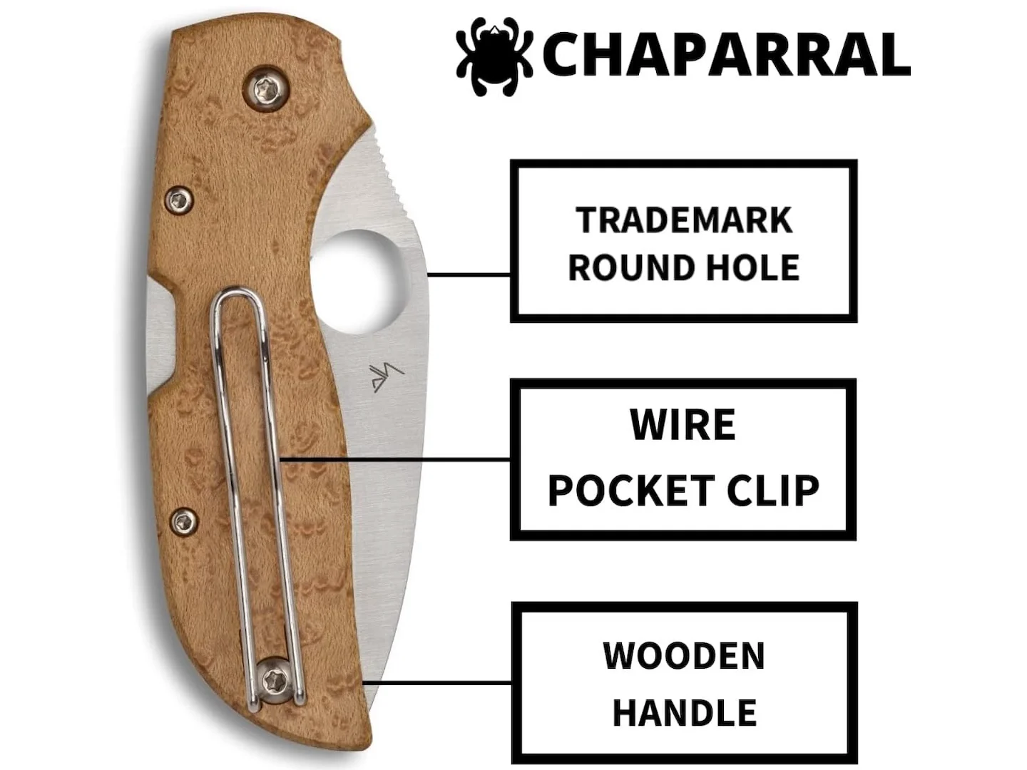 Spyderco Chaparral Folding Pocket Knife
